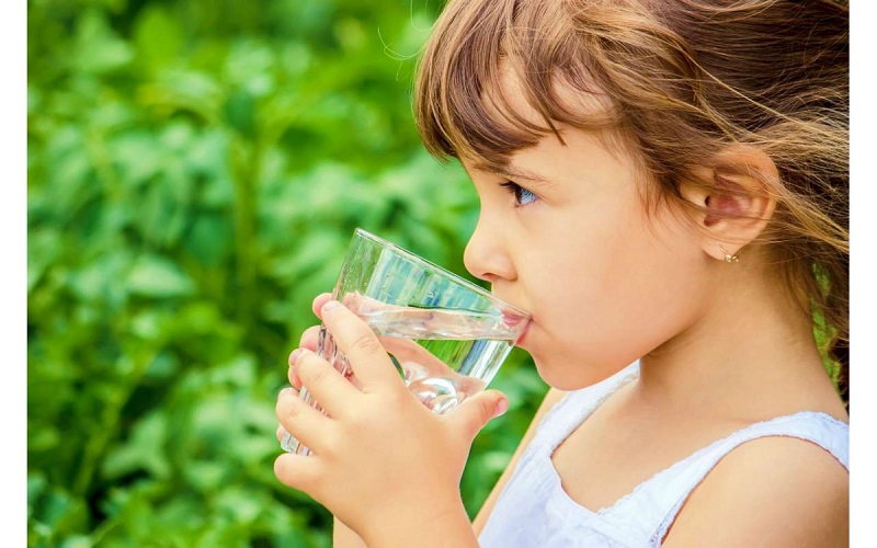 Nước giúp hệ tiêu hóa và cả cơ thể được thanh lọc giúp kích thích các cơ quan làm việc hiệu quả hơn