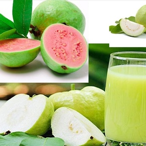 [Giải đáp] Ăn ổi có bị táo bón hay không? Các lưu ý cần biết