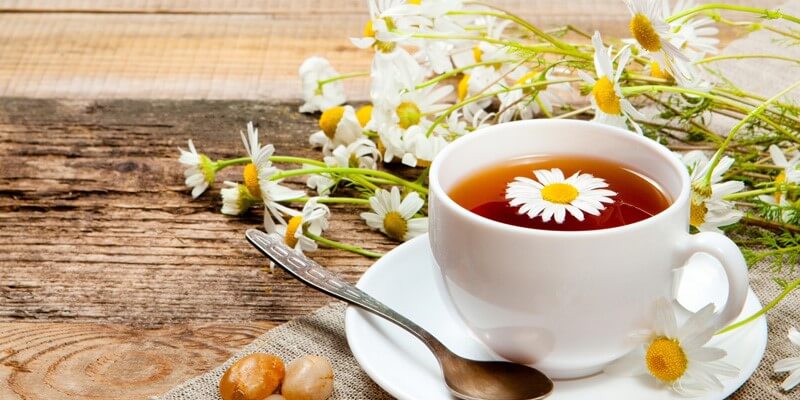 Sử dụng trà hoa cúc là một giải pháp hữu hiệu, giúp làm mát cơ thể, họa hỏa, có lợi rất nhiều cho hệ tiêu hóa.