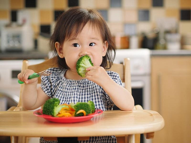 Các thức ăn của trẻ ăn dặm nên được bổ sung nhiều chất xơ và những món ăn giàu lợi khuẩn